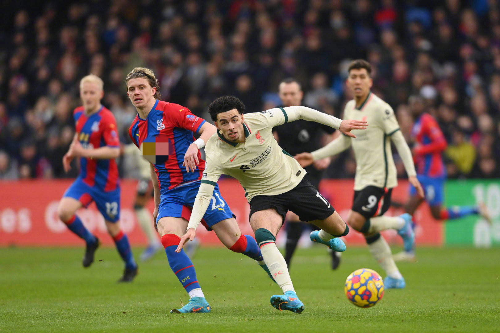 解中国现代 解中国现代